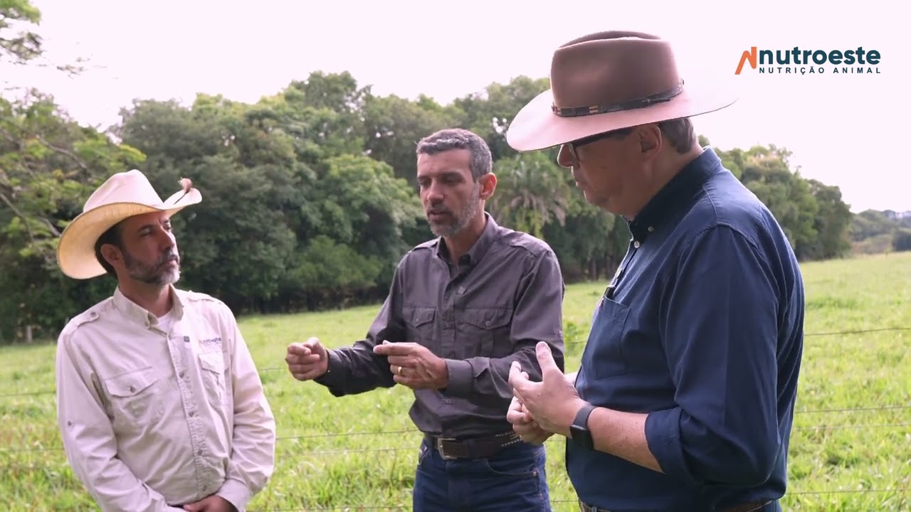 ACERTOS E ERROS DO PROJETO ULTRADENSO