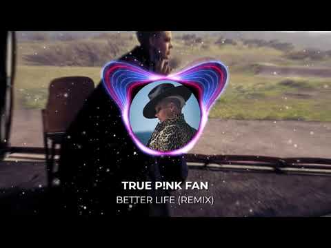 P!nk - Better Life (TPF Remix)