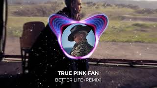 P!nk - Better Life (TPF Remix)