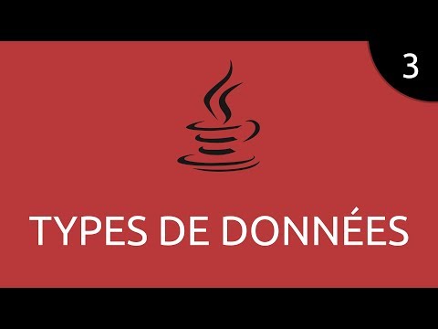 Java 3 types de données