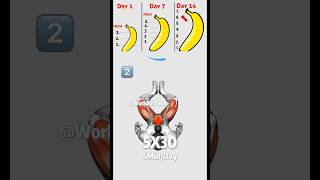 Boost your engine at home, #energy#booster  #workout #shorts Pelvic Mobility+Fix posture