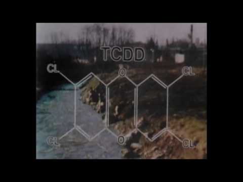 Progetto Sigma@REALITARIUM - DSA COMMANDO - Oppenheimer