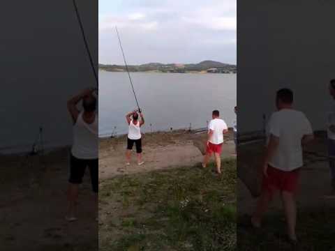 Rogojevac vadi šarana od 5 kila