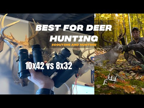 Best Binos for deer hunting 10x42 or 8x32 | what’s the best binocular