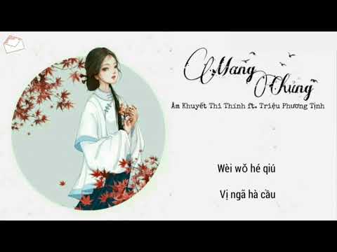 [Pinyin + Hán Việt] Mang Chủng - Âm Khuyết Thi Thính ft. Triệu Phương Tịnh
