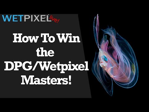 How to Win the DPG/Wetpixel Masters 2021