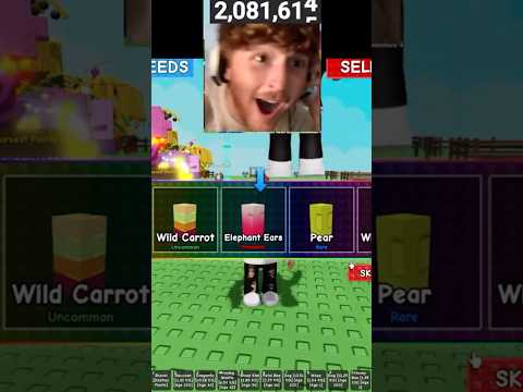 Caylus Gets The Rainbow Elephant Ears in Grow a Garden