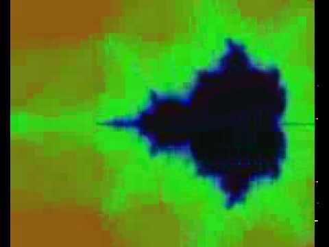 Blue lotus of the Nile