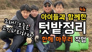 [4k] 서리태콩 수확한 텃밭 한해 마무리 작업 / 아이들과 함께 일하고 갈비 먹으러 고고