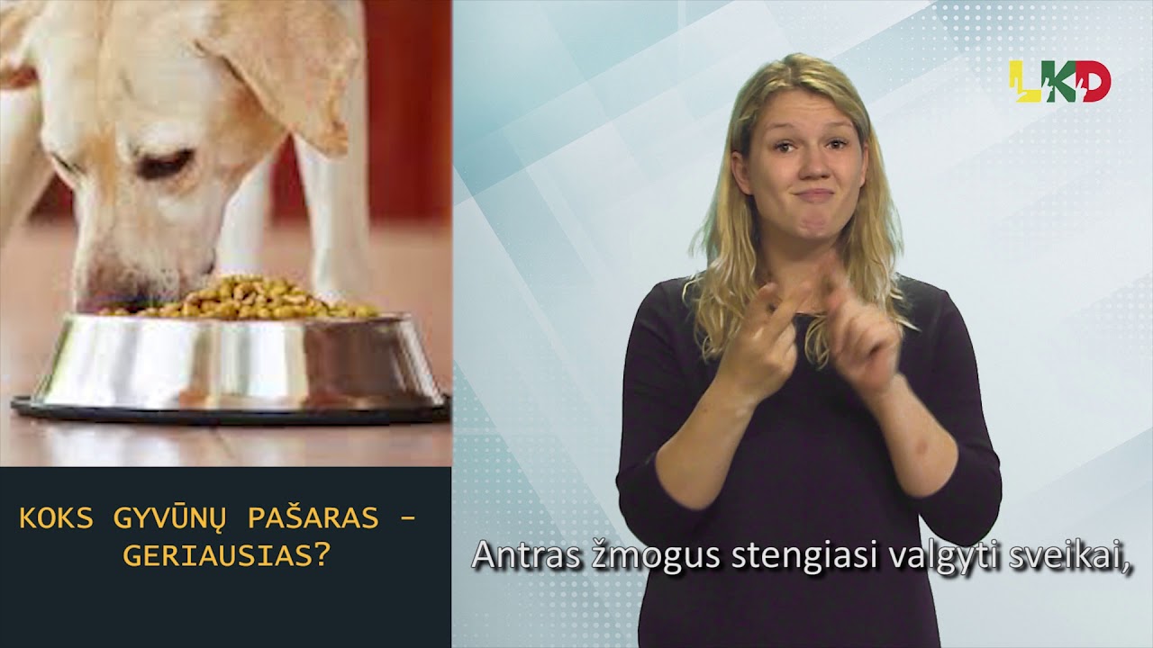 Koks gyvūnų pašaras - naudingiausias?