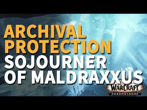 Archival Protection WoW [Sojourner of Maldraxxus] Achievement
