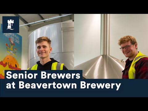 Alumni Stories: Senior Brewers for Beavertown Brewery