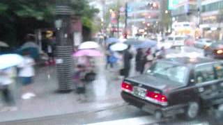 The Windows of the World -Scott Walker