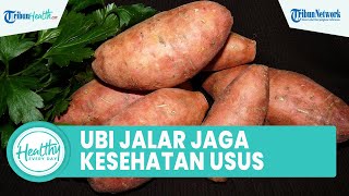 Konsumsi Ubi Jalar Bagus untuk Menjaga Kesehatan Usus, Inilah Manfaat Antioksidan untuk Tubuh