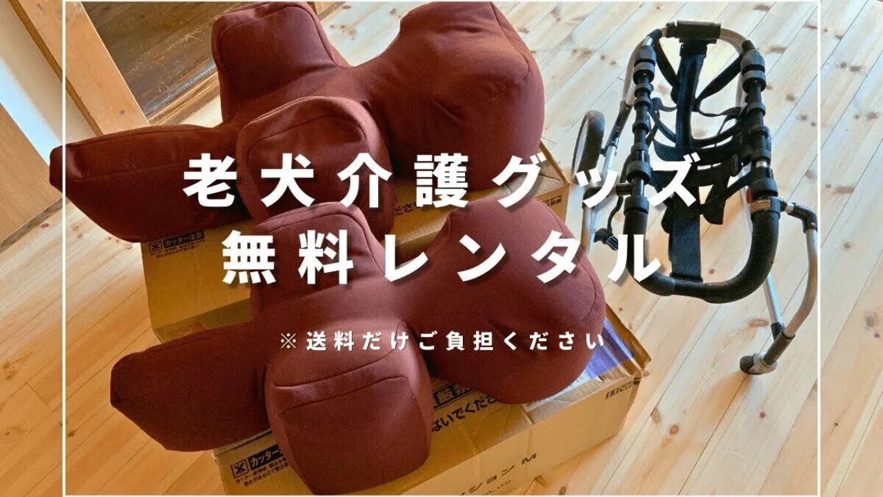 【お知らせ】老犬介護グッズの無料レンタルはじめました