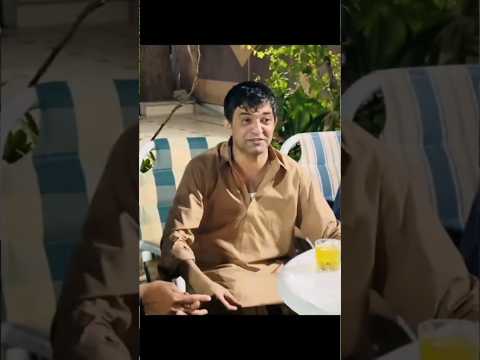 Sk brand 👑💯 | King Of Pakistan 😍 #shortsvideo #officalchannel