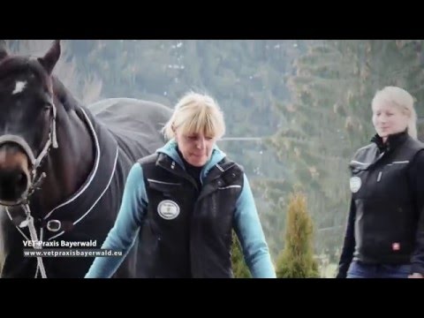 VET-PRAXIS BAYERWALD | Unternehmensfilm