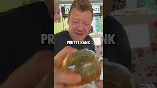 Download lagu 'You forgot to cook them, miss' 😨 mp3 Download lagu 'You forgot to cook them, miss' 😨 mp3