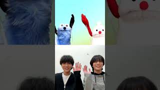 Download lagu なんか似てない⁇笑#WILDBLUE #山下幸輝 #COKI #池田優斗 #YUTO mp3