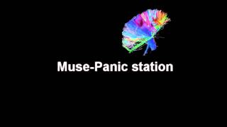 Muse Panic station