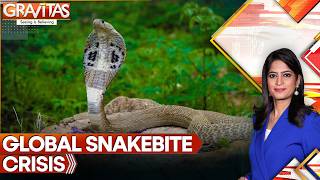 India records 1.3 million snake bites annually, emerging as global hotspot for deaths