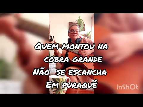 Esse Rio É Minha Rua - Paulo André Barata