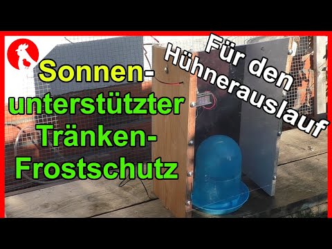 141 Solar-assisted frost protection for chicken waterers in the run - Jensman and the Huhns