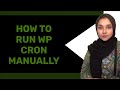 How to Run WP Cron Manually