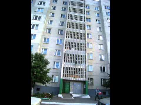 Cupid's Inspiration  -  "The Picture"