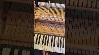 Finding a ring inside of a Grand Piano #piano