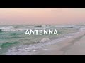 Zuchu Antenna Lyrics