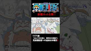 アニメ「#ONEPIECE」見放題配信への追加は木曜日‼️1171話‼️ #onepiece #原撮