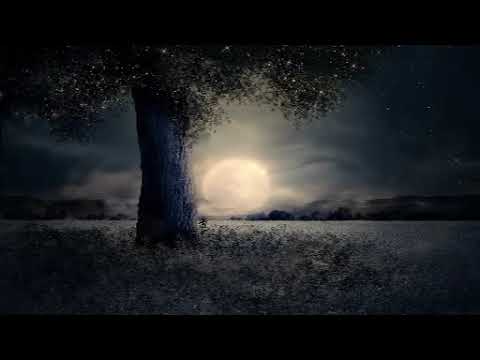 Ilonka - Powrót do punktu wyjścia (07.2021)