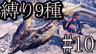 ９種の縛りでストーリークリア！【MHWI】#10