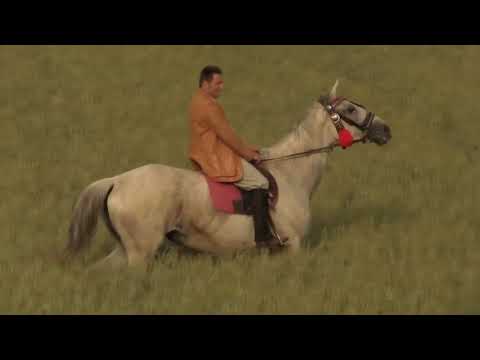 Cygański Zespół Bogdan Trojanek & Terne Roma Łka Moje serce (NOWOŚC 2022)