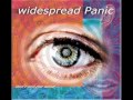 Widespread Panic - Sometimes (fIREHOSE cover)