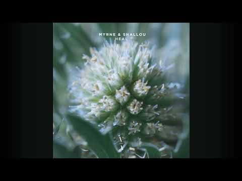 MYRNE & Shallou - Heal