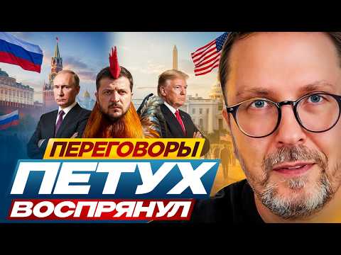 Переговоры. Петух воспрянул.
