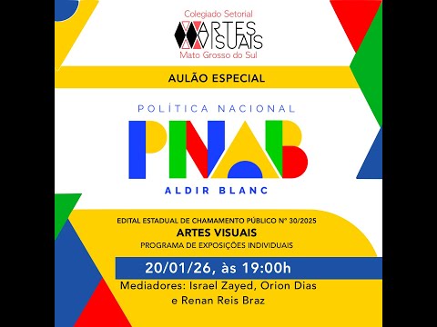 Live PNAB MS Ciclo 2: Artes Visuais - Programa de Exposições Individuais
