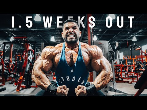 1.5 weeks out | 4 Workout special | 2023 Mr. Olympia