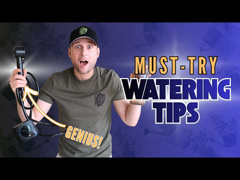 Must-Try Watering Tips & Tricks