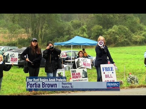 NJ Bear Hunt Begins