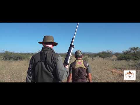 Oryx Hunt in Namibia