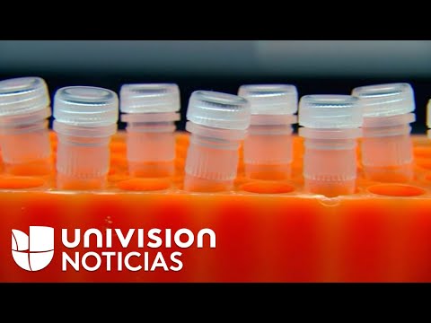 A suspected murderer is caught 50 years after the crime, thanks to science.