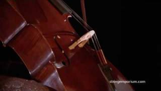 Video thumbnail for Laurie Selby, The Swan, Thompson Cellos by stringemporium