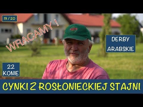 Cynki Stajni Rosłońce 19 i 20 dzień wyścigowy Derby Arabskie