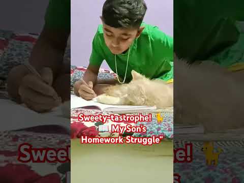 Cat-tastrophe! 🐈📖 My Son's Homework Struggle"fenil#struggle with homework #