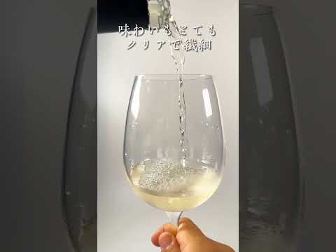 プーリア・アミールシャヒについて詳しく解説