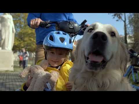 Le Triporteur Véligo