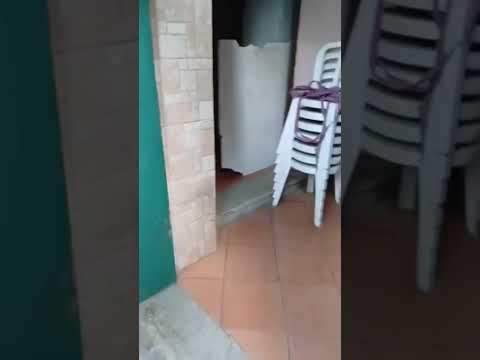 Video di SALVO